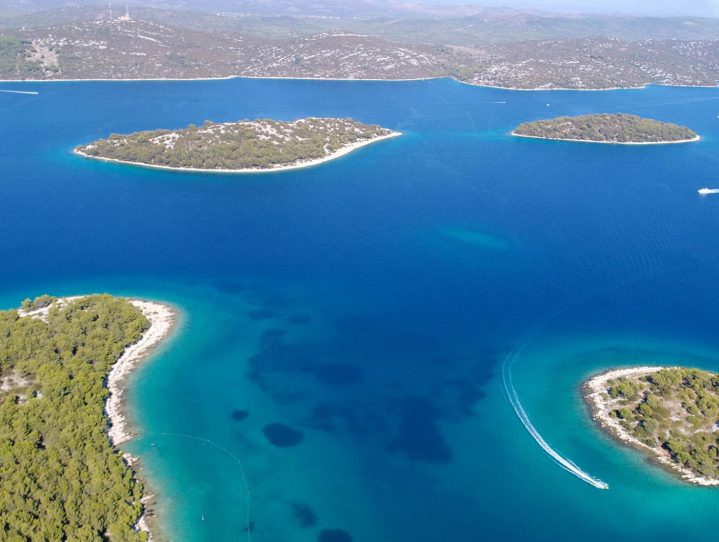 51484538_1672158736217984_7272683579904098304_n