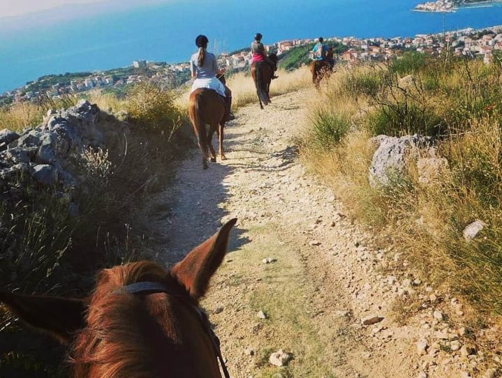 75429453_1125951500947570_1493111076550606848_n