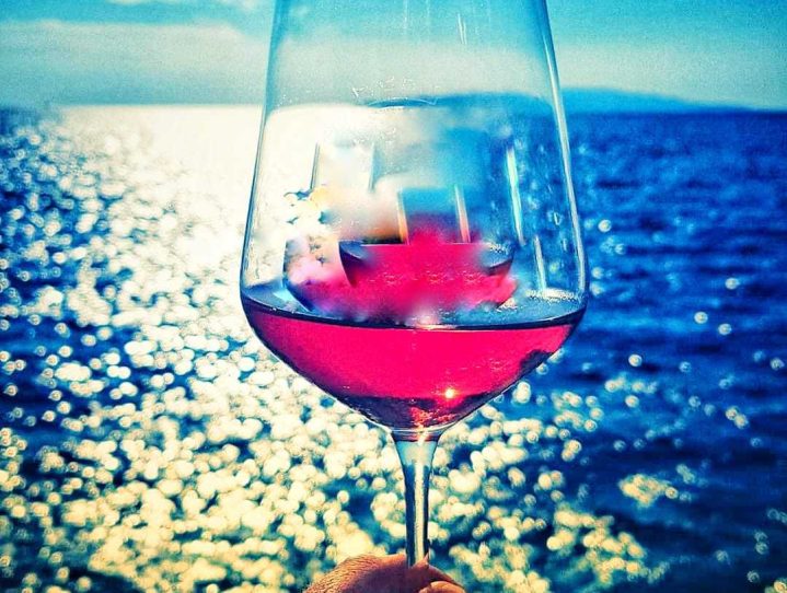 vinarija pelješki vrhovi (11)